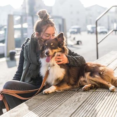 TRIXIE HONDENRIEM RUSTIC VETLEER VERSTELBAAR HEARTBEAT BRUIN 200X2,5 CM