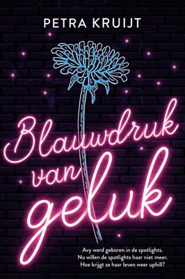 Blauwdruk van geluk - Petra Kruijt - Paperback (9789020539882)