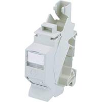 Telegärtner 100023004 Draagrailverbinder Cat. 6a RJ45, behuizing (koppeling) Grijs 1 stuk(s) - thumbnail