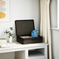 VidaXL Houten kist met deksel 40x30x13 cm massief grenenhout zwart - thumbnail