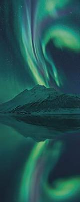 Noordwand Komar Stefan Hefele Fotobehang The Heavenly Magician - SH011-VD1