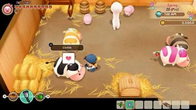 Story of Seasons Friends of Mineral Town