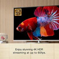 EZCast U01 - 4K HDR Wireless Display Receiver draadloos presentatiesysteem Desktop HDMI - thumbnail