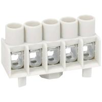 RECOM RO-2405S/P DC/DC-converter, print 24 V/DC 5 V/DC 200 mA 1 W Aantal uitgangen: 1 x Inhoud 1 stuk(s) - thumbnail