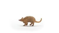 Schleich wild life armadillo gordeldier 14874 - thumbnail