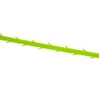 Cornat Rapid Buisreinigingsstrip 2St - Sa230 - thumbnail