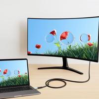 LogiLink CU0431 USB-C-kabel USB 3.2 Gen2x2 USB-C stekker 0.50 m Zwart Met LED, 4K UHD, Stekker past op beide manieren - thumbnail