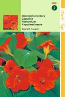 Zaden Tropaeolum Oost-Indische Kers Scarlet Gleam Rood Hortitops - Hortitops - thumbnail
