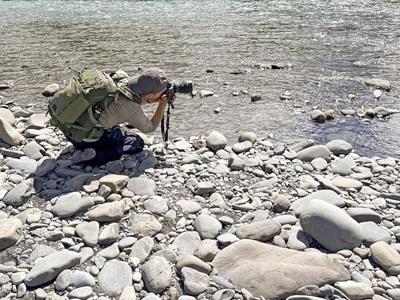 Think Tank BackLight 36L Montane Green