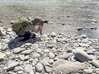 Think Tank BackLight 36L Montane Green - thumbnail