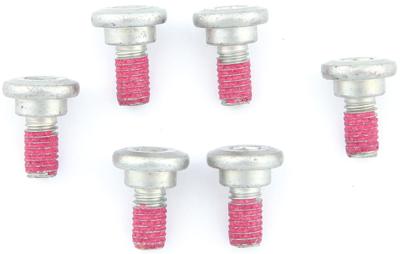 TRW bout screw 6pcs. m6x12,5