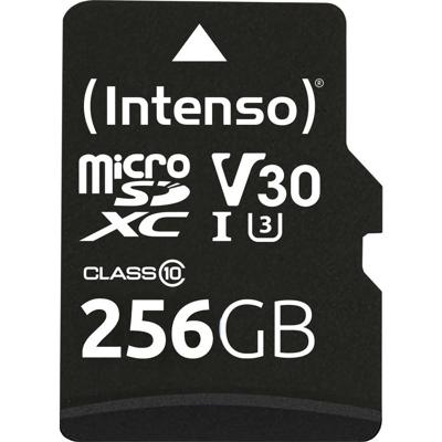 Intenso Professional miniSDXC-kaart Retail 256 GB Class 10, UHS-I U3, v30 Video Speed Class Watervast, Temperatuurbestendig