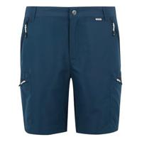Regatta Leesville III Shorts - thumbnail
