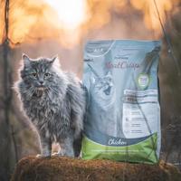 PLATINUM MeatCrisp Adult Chicken - droog kattenvoer - 1,5kg - thumbnail