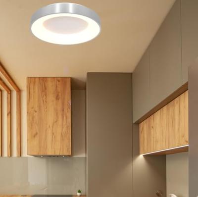 Steinhauer Led plafondlampRinglede Ø 48cm - 2563ZI