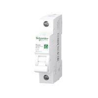 Schneider Electric R9F24110 Zekeringautomaat 10 A 230 V - thumbnail