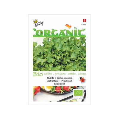 Biologische Pluksla Salad Bowl, groen
