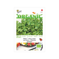 Biologische Pluksla Salad Bowl, groen - thumbnail