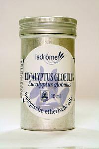 Eucalyptus globulus olie bio 10 Milliliter