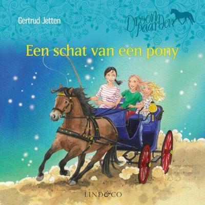 Een schat van een pony