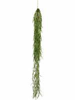 Hanging sprengeri bush green 94cm - thumbnail