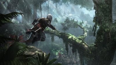 PS4 Assassin's Creed IV: Black Flag