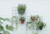 Elho Loft Urban Green Wall Duo Groen 28cm - thumbnail