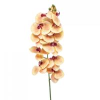 Emerald kunsttak phalaenopsis 100cm geel, fuchsia - thumbnail