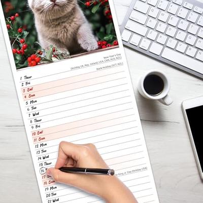 Kittens Kalender 2026 Slimline