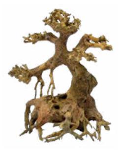 Bonsai Driftwood Xs aquaria SuperFish - Superfish Bonsai Driftwood Xs aquaria SuperFish - Superfish