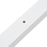 Kabelgoot 100x60 mm 10 m PVC - thumbnail