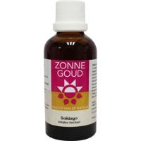 Zonnegoud Solidago Simplex - thumbnail