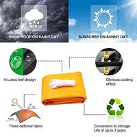 Rode beveerde beukenboom - thumbnail