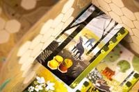 Bordspel Asmodee - thumbnail