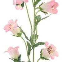 Campanula spray pink 88 cm kunstbloem Erutan Avon - Erutan avon - thumbnail
