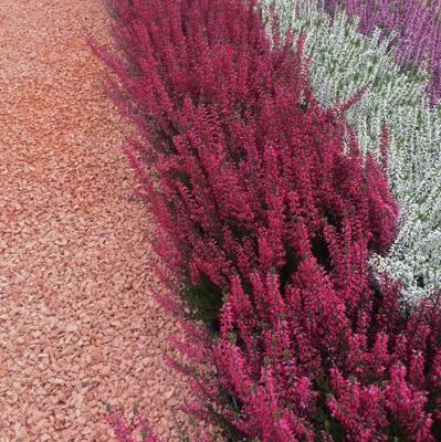 Rosa Milano grind Big Bag - 1500 kg - 1m3