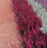 Rosa Milano grind Big Bag - 1500 kg - 1m3 - thumbnail