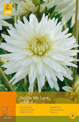 Dahlia My love