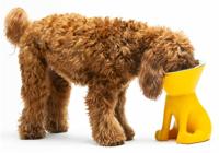 Voerbak voor honden United Pets Elisabeth Yellow Roestvrij staal Polyethyleen 1 L - thumbnail