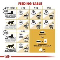 Royal Canin Adult Persian kattenvoer 2 x 10 kg - thumbnail