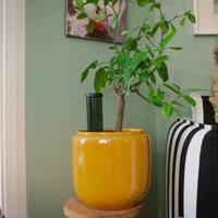 Fiskars 1075380 Waterdispenser, 350 ml. 1 stuk(s) - thumbnail