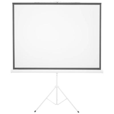 Eurolite Projectiescherm 85 inch