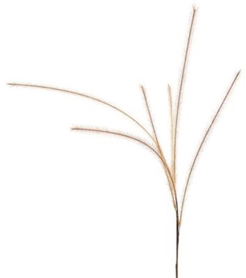 Countryfield kunsttak met 6 pluimen lichtbruin 112 cm | 24 stuks