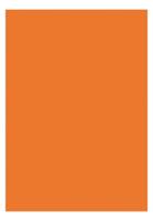 Kangaro K-0043F055 Papier A4 120gr Pak A 100 Vel Oranje - thumbnail