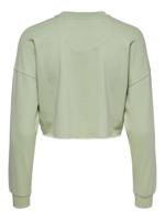 Only / trui onlZoey Life in groen - thumbnail