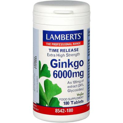 Lamberts Ginkgo 6000mg Time Release Tabletten