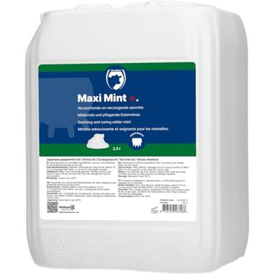 Maxi Mint grootverpakking incl. dosator