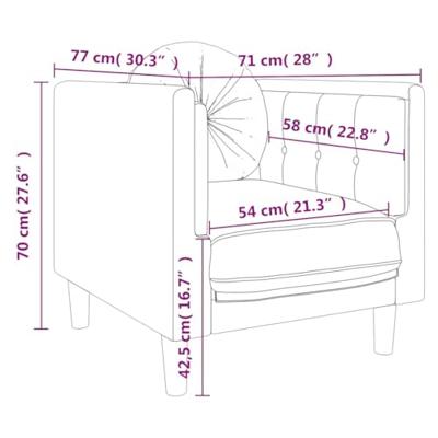 Fauteuil met kussen fluweel zwart