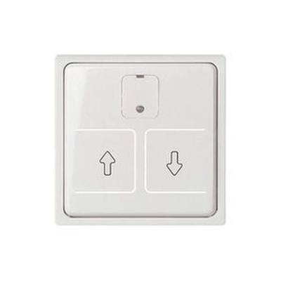 ELSO centrale plaat 367254 elektr. Rolluikschakelaar JOY rw 1 stuk(s) ELSO centrale plaat 367254 elektr. Rolluikschakelaar JOY rw 1 stuk(s)