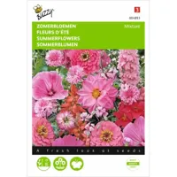 Zomerbloemen Roze en rood mengsel - thumbnail
